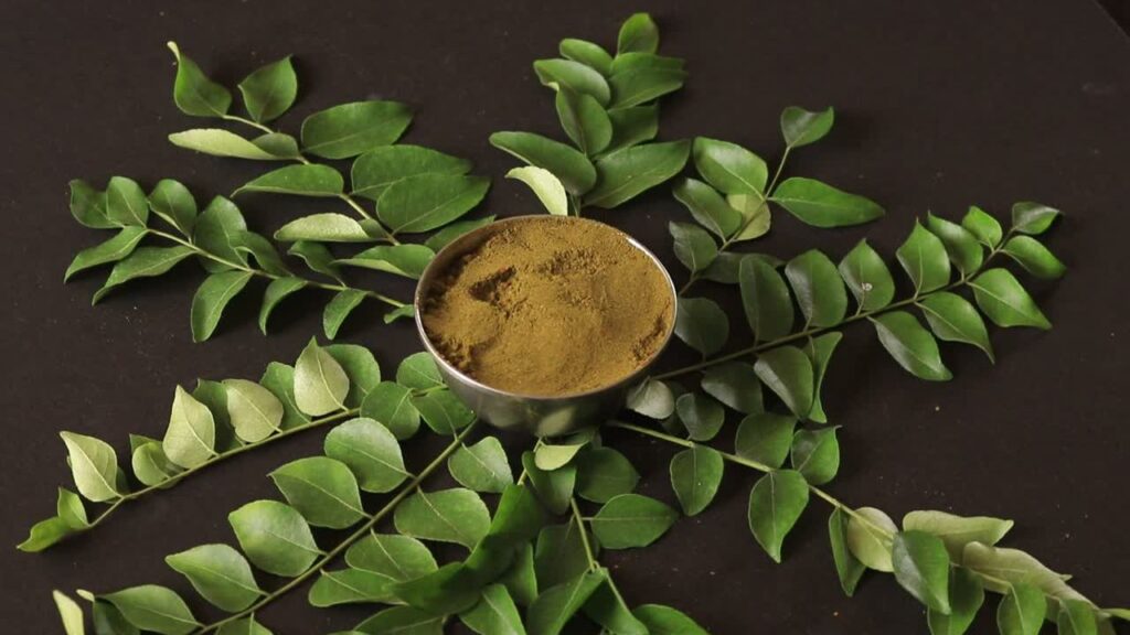 10 plantes pour mémoire, concentration et gestion du stress 10