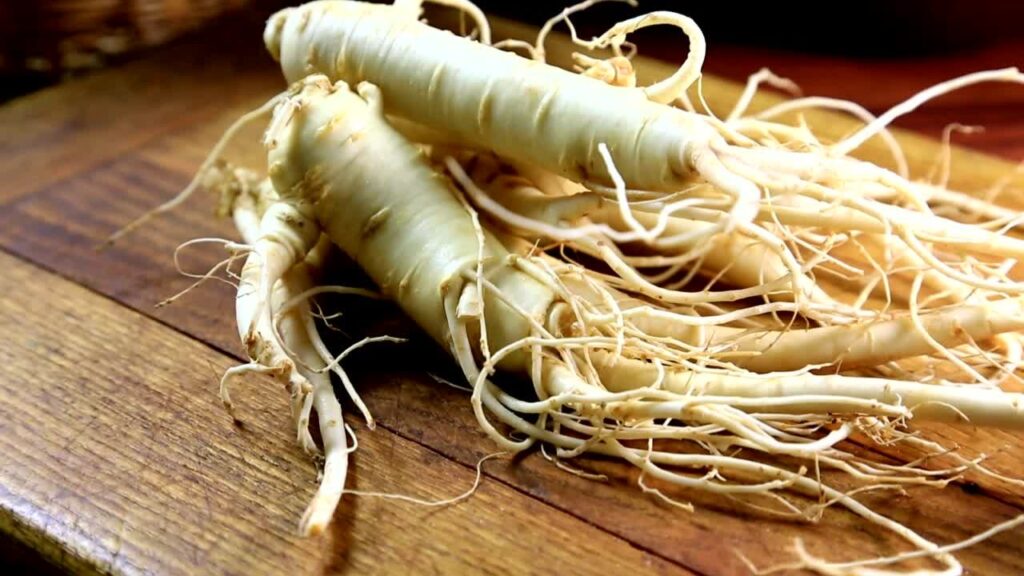 10 plantes pour mémoire, concentration et gestion du stress 24