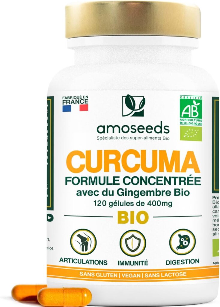 10 plantes pour mémoire, concentration et gestion du stress curcuma gingembre