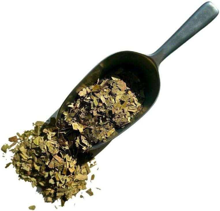 10 plantes pour mémoire, concentration et gestion du stress ginkgo feuilles