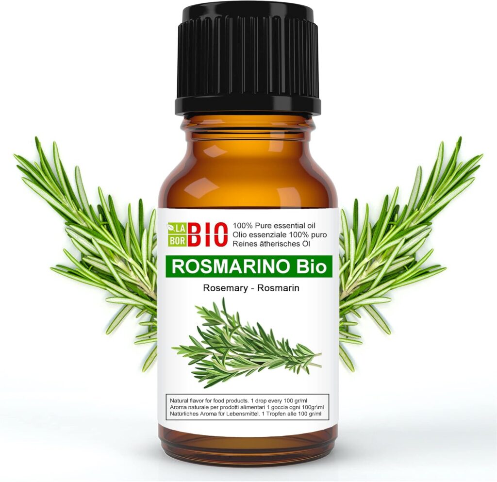 10 plantes pour mémoire, concentration et gestion du stress huile essentielle romarin