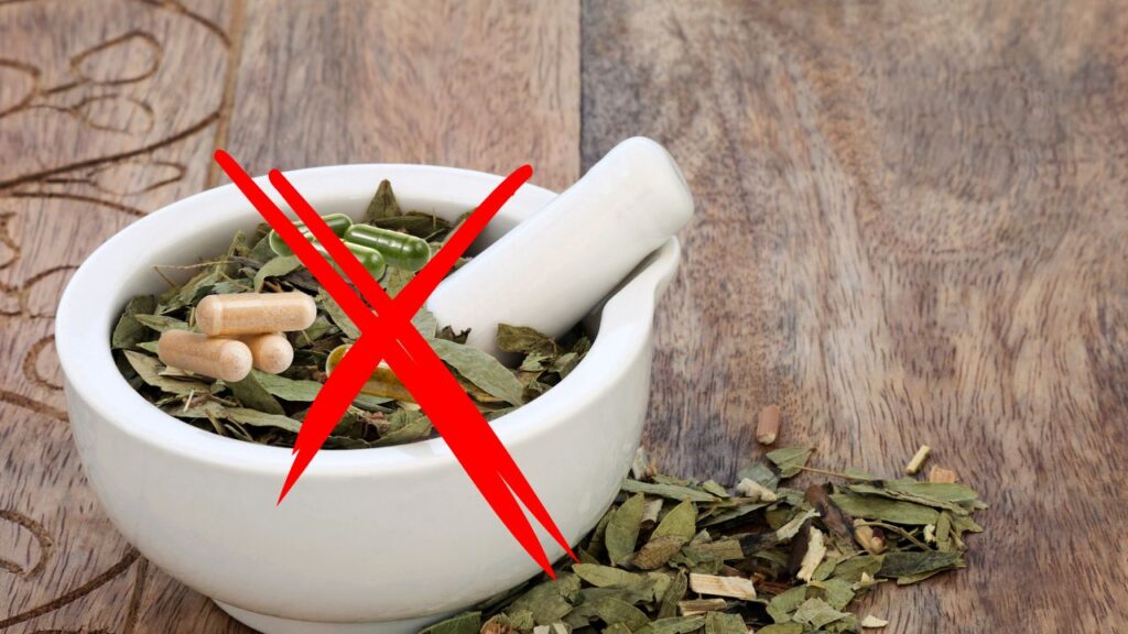 10 plantes pour mémoire, concentration et gestion du stress image pour article 10 plantes pour booster